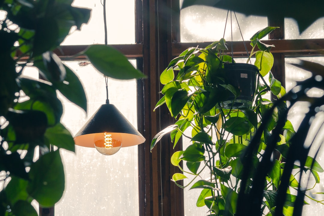 Gemütliche Atmosphäre in der Kaffeebar